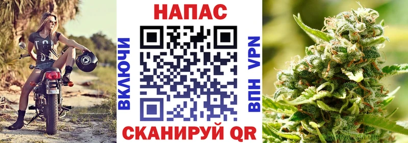 Купить Галлюциногенные грибы Меф ГАШ Канабис COCAIN Alpha-PVP Калининград