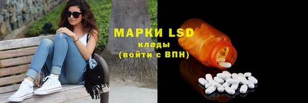 тгк Горно-Алтайск