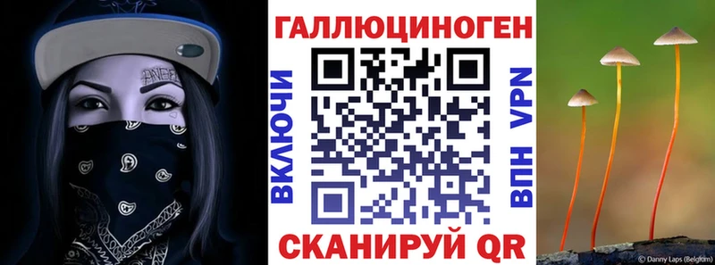 Галлюциногенные грибы GOLDEN TEACHER  Купить  Калининград 